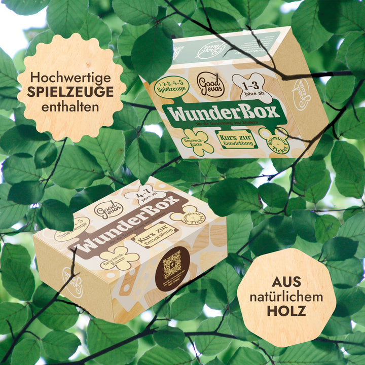 WunderBox 4-7 Jahre - Entwicklung im Spielformat