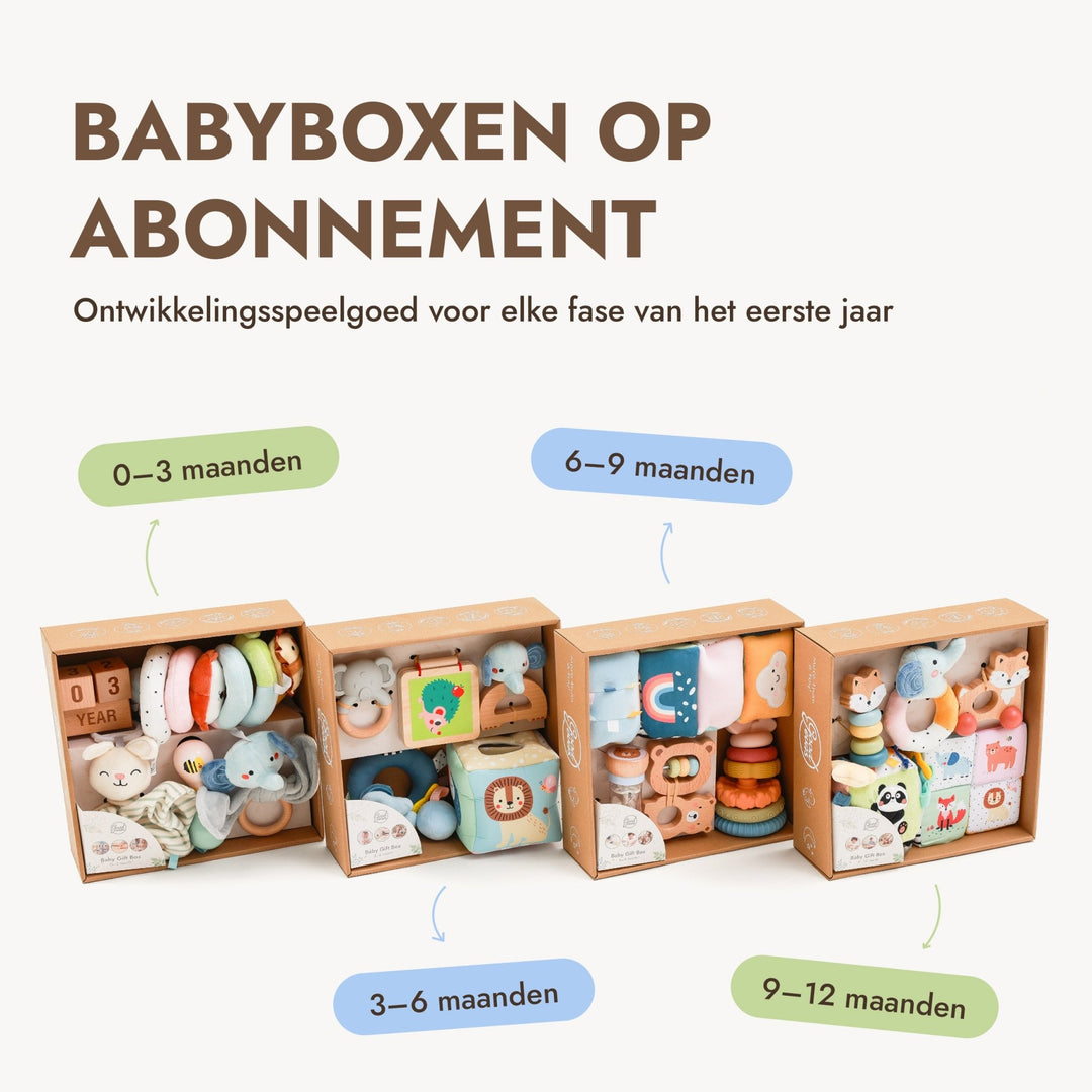 BabyBox – Spielsets für das erste Lebensjahr (0–12 Monate) - Goodevas Schweiz