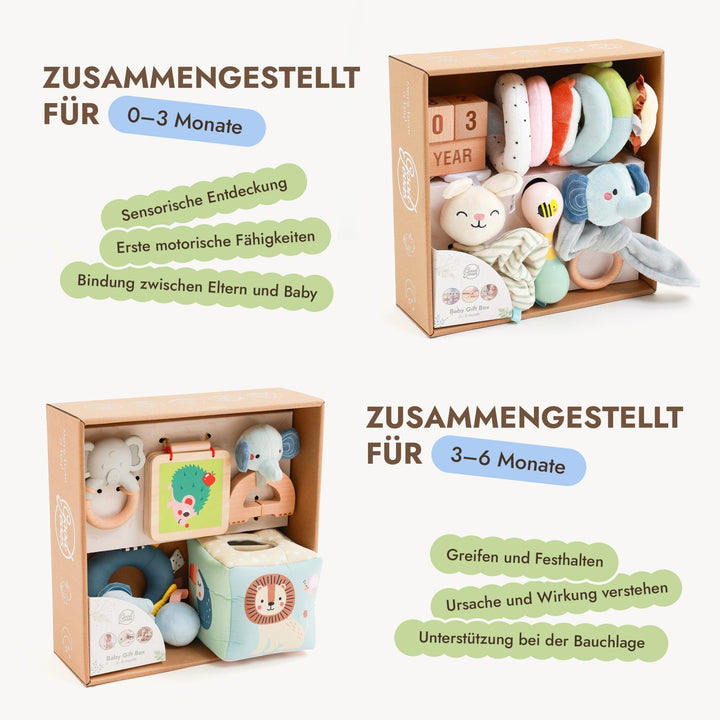 BabyBox – Spielsets für das erste Lebensjahr (0–12 Monate) - Goodevas Schweiz