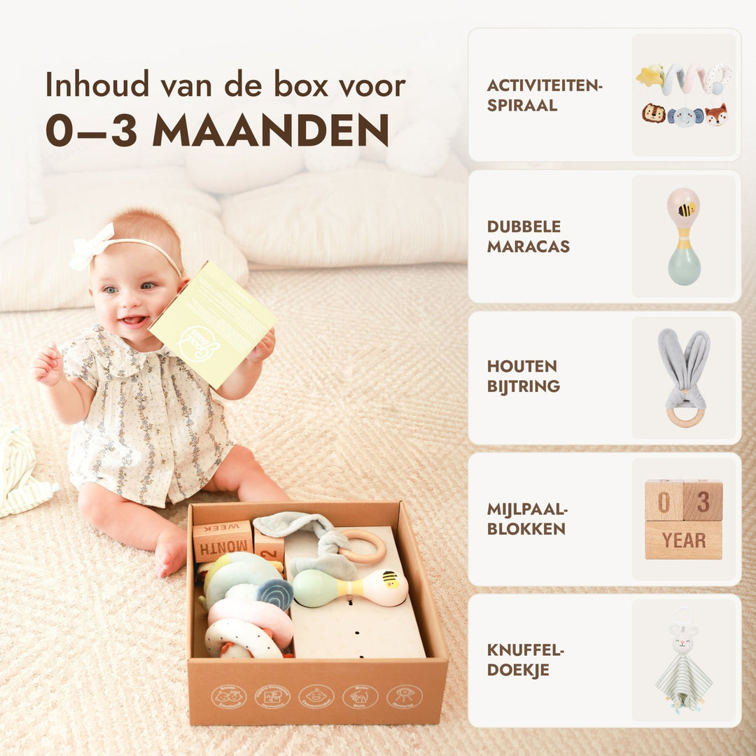 BabyBox – Spielsets für das erste Lebensjahr (0–12 Monate) - Goodevas Schweiz