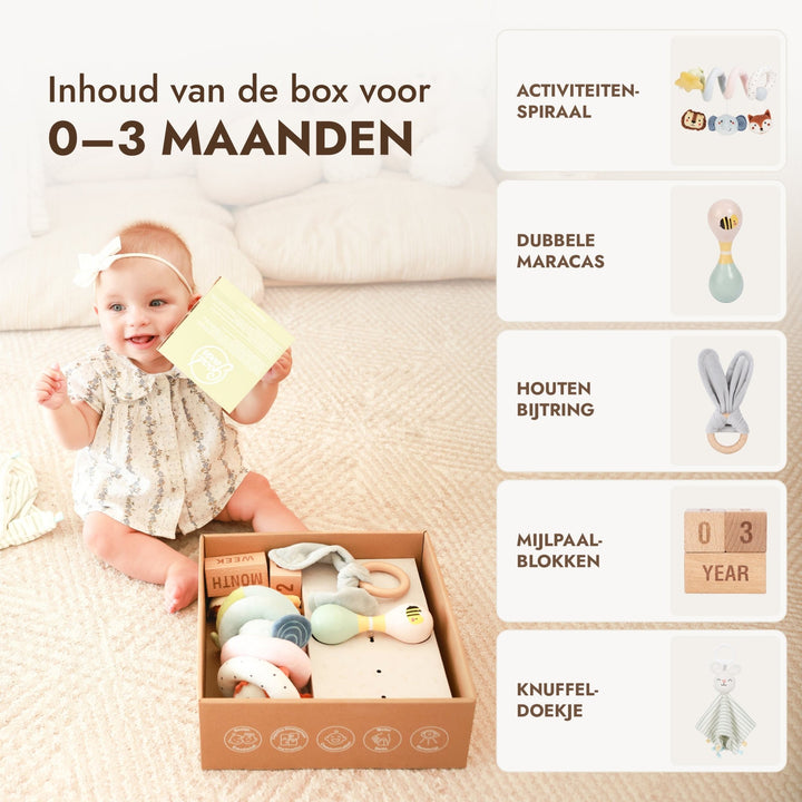 BabyBox – Spielsets für das erste Lebensjahr (0–12 Monate) - Goodevas Schweiz